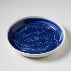 ΠΙΑΤΟ ΜΠΛΕ ΧΑΡΑΚΤΟ ΨΑΡΙ